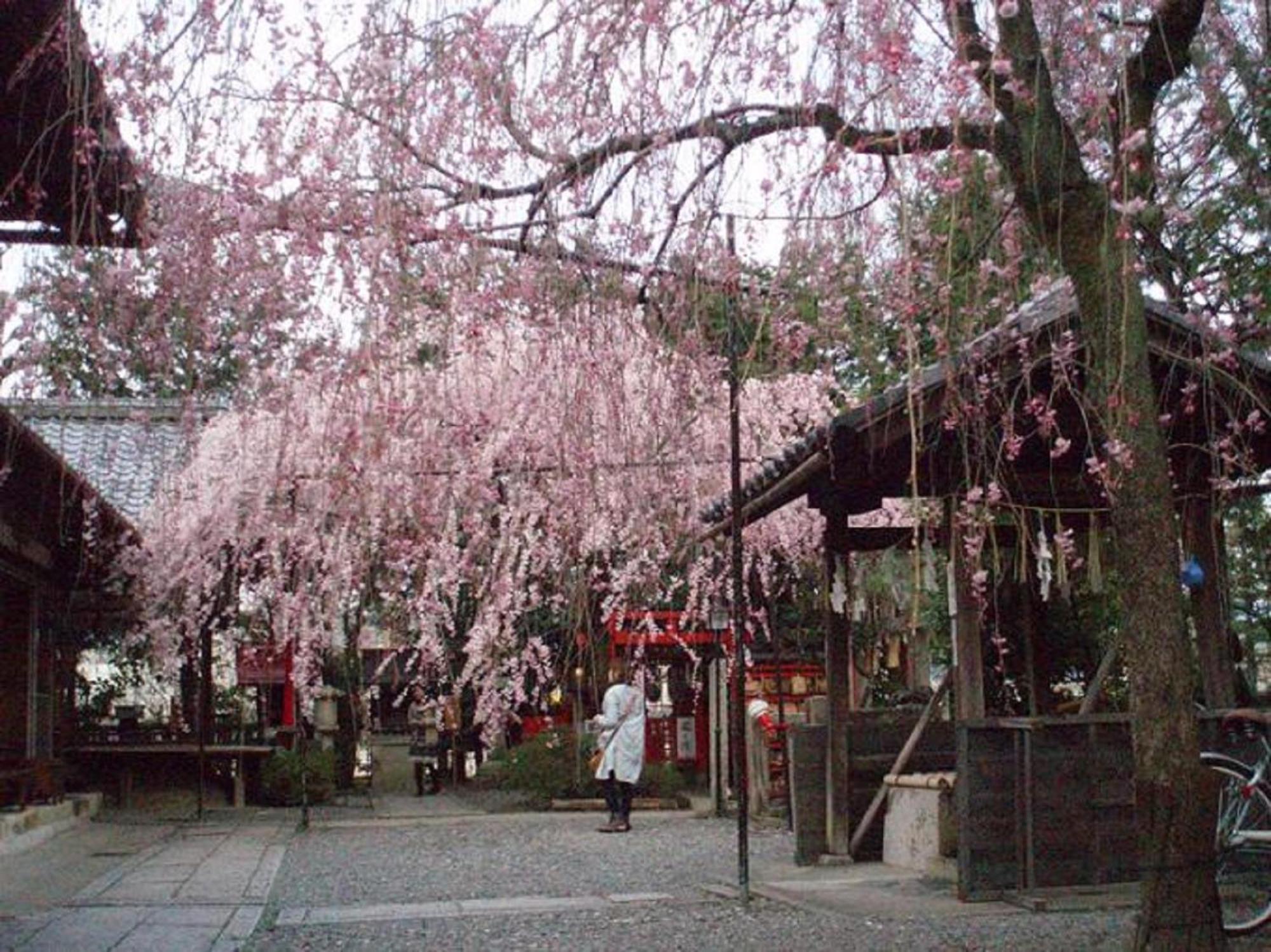 Kamuroan Kioto Exterior foto